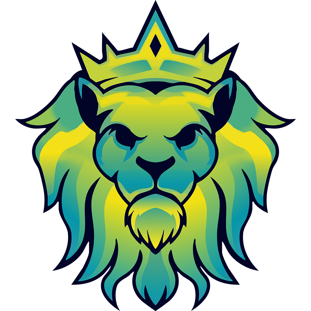 SsSNetwork - Logo
